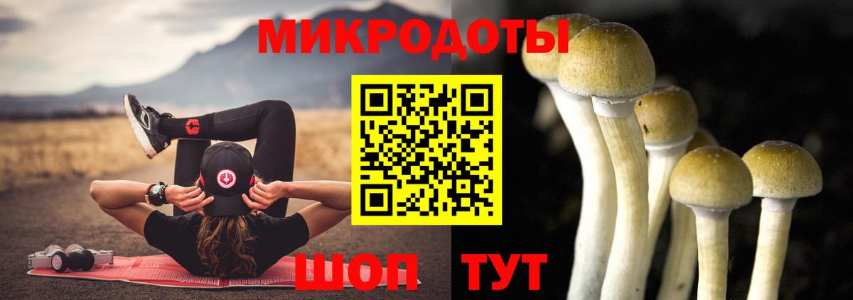 Якутск  Псилоцибиновые грибы MAGIC MUSHROOMS  наркота  Вход с VPN 